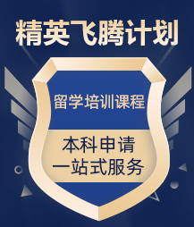 日Bwww精英飞藤计划